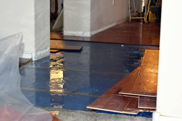 Professional Water Damage Restoration technician working in Newton Upper Falls, MA